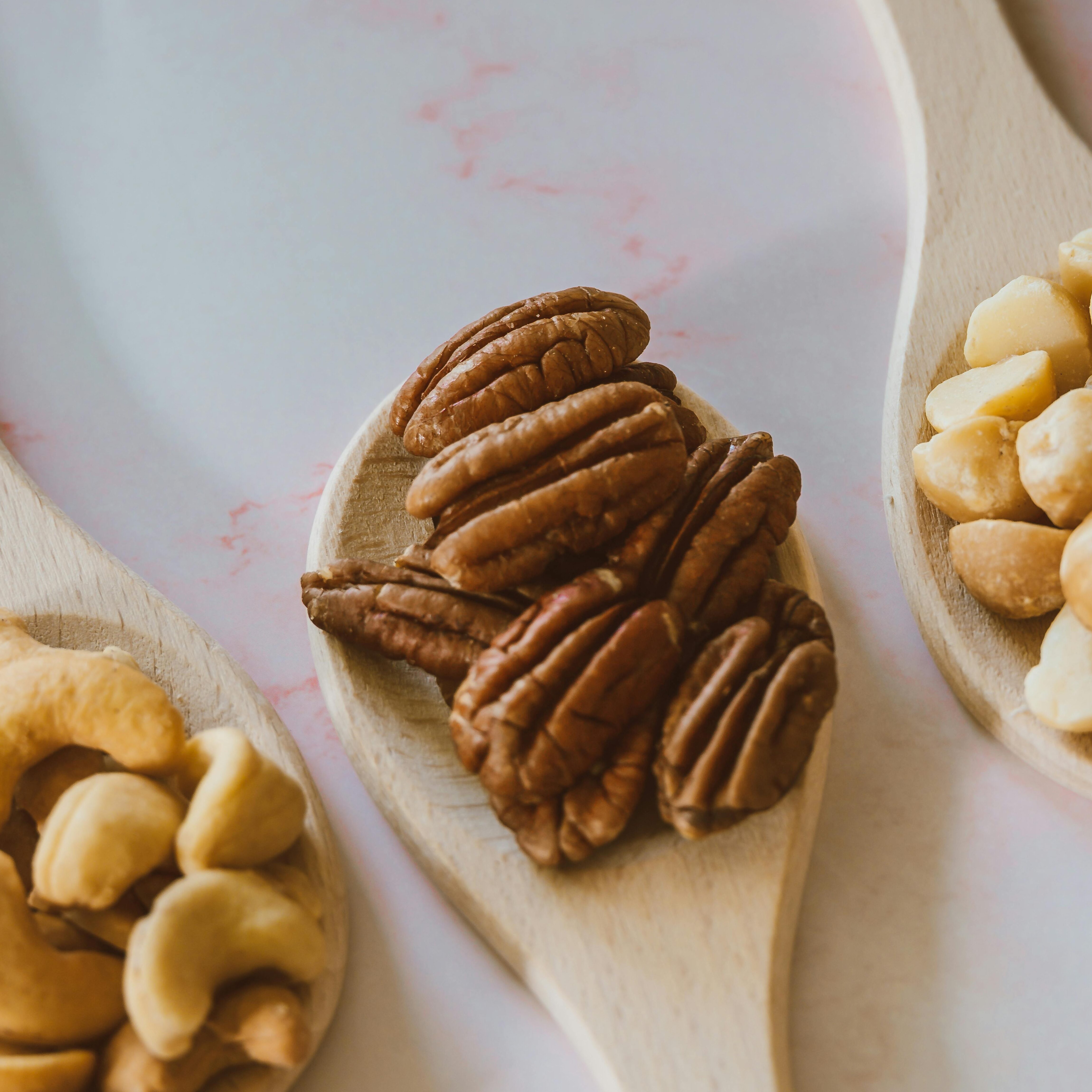 Noix de macadamia : toxiques pour le chien