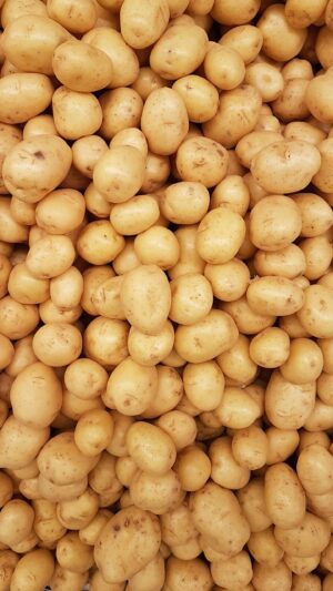 Pommes de terre : à donner cuites et nature seulement, jamais crues ni vertes
