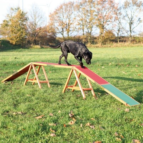 chien agility rampe