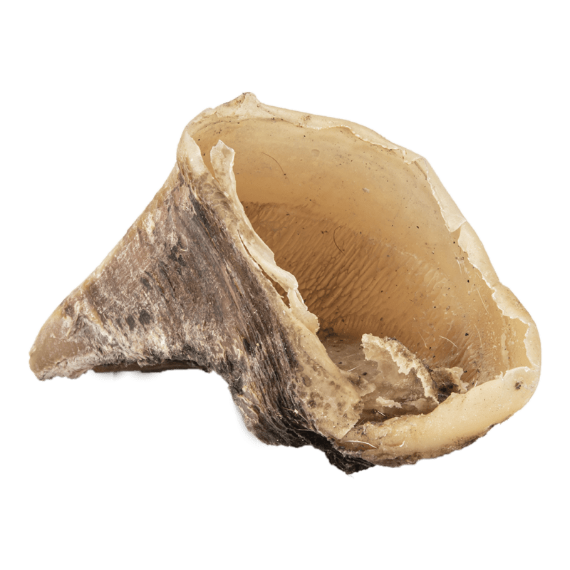 sabots-de-veau-friandise-naturelle-pour-chiens