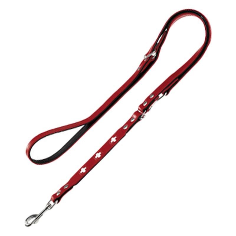 laisse hunter swiss