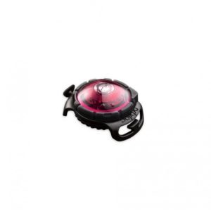 lampe-orbiloc-lampe-pour-chiens