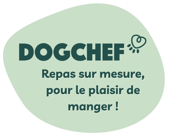 partenaire mydogsociety dogchef repas sur mesure chien