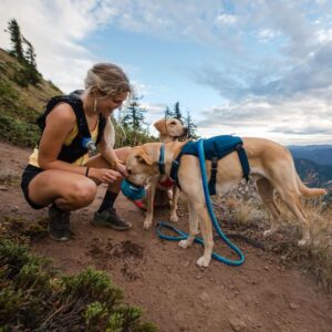 Harnais Ruffwear Switchbak bleu foncé