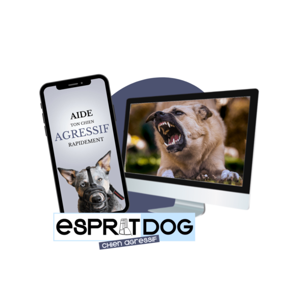 Gérer un chien agressif avec Esprit Dog - MyDogSociety -15%