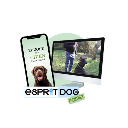Formation en ligne Esprit Dog Family : méthode complète pour éduquer son chien