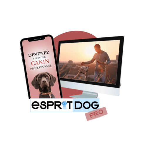 Formation en ligne Esprit Dog Pro pour devenir éducateur canin : un téléphone montrant un chien et un écran