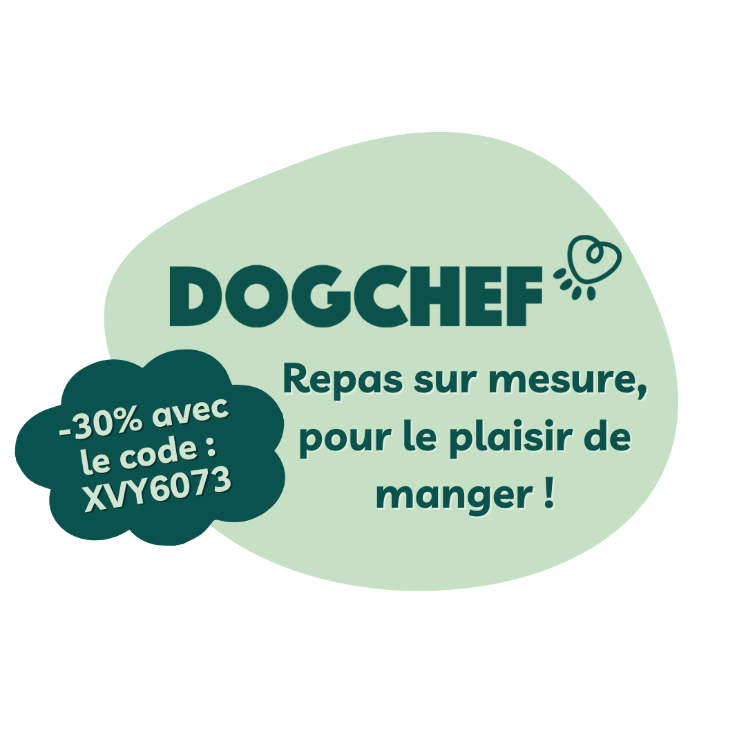 partenaire dog chef
