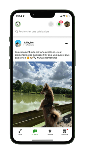 réseau social