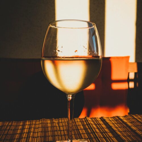 Alcool : dangereux pour le chien, même en petite quantité