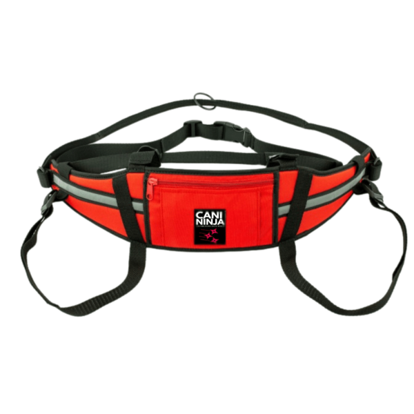 ceinture baudrier de canicross