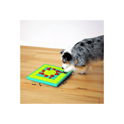 Jouet éducatif Multi Puzzle pour chien Nina Ottosson.