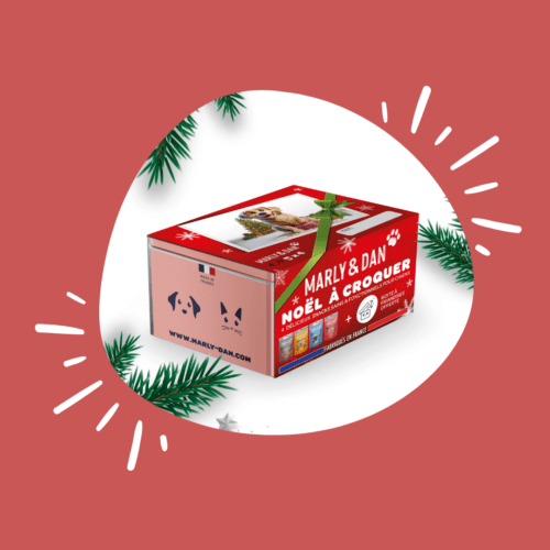 10 idées de cadeaux parfaits pour les chiens et leurs humains !