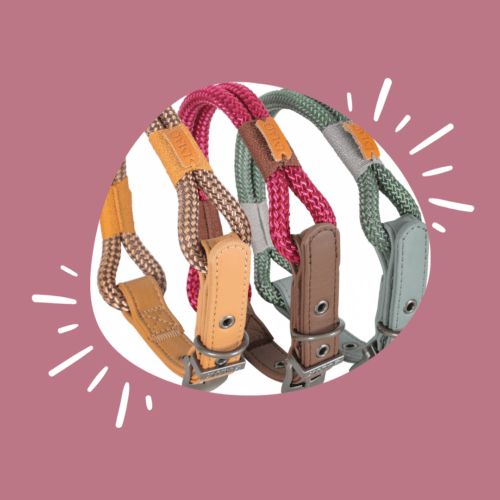 10 idées de cadeaux parfaits pour les chiens et leurs humains !