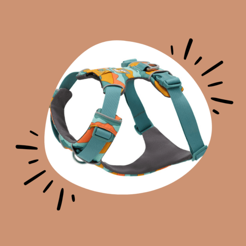 10 idées de cadeaux parfaits pour les chiens et leurs humains !