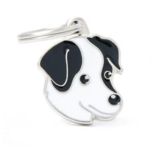 Médaille à graver Friends Jack Russel, médaille personnalisée en bronze et nickel pour chien.