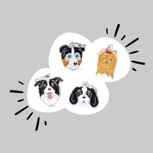 10 idées de cadeaux parfaits pour les chiens et leurs humains !