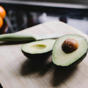 aliments toxiques chien avocat
