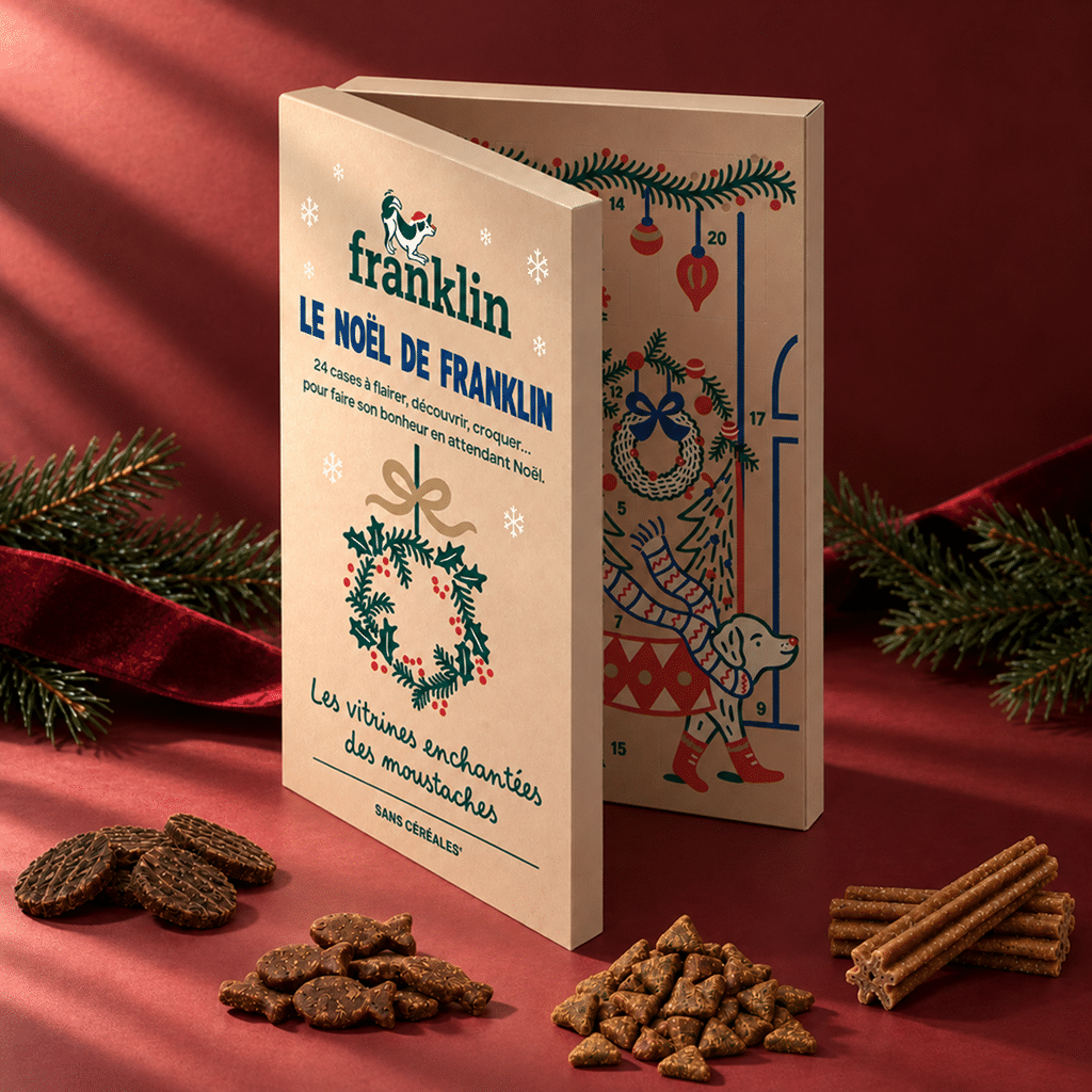 Calendrier de l'Avent pour chien Franklin 2026 : boîte kraft « Le Noël de Franklin » de 24 cases, sur fond rouge avec une branche de sapin