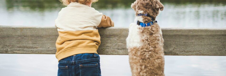 Enfant et chien debout côte à côte au bord de l'eau, se tenant à une poutre en bois pour la sécurité.