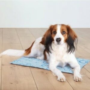Chien couché sur le tapis rafraichissant chien Trixie de couleur bleu clair