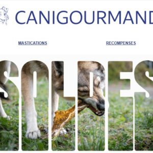 Un chien mastique une friandise naturelle pour illustrer les soldes CaniGourmand.