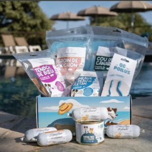 Box d'été CaniGourmand contenant des friandises naturelles de mastication pour chien posée au bord d'une piscine.