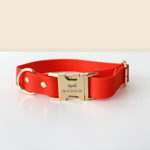 Collier pour chien en biothane orange de Bande de Canailles, avec boucle gravée personnalisable