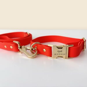 Laisse pour chien en biothane orange de 120 cm et collier assorti Bande de Canailles