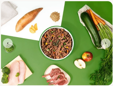 Repas frais à l'agneau et à la dinde pour chien Dog Chef, gamelle entourée d'agneau, dinde et légumes