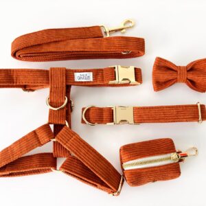 Kit complet pour chien Bande de Canailles en velours côtelé, avec collier, harnais et laisse assortis
