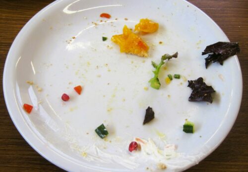 Assiette presque vide avec des restes de repas : les restes de table, trop gras ou trop salés, ne sont pas pour le chien