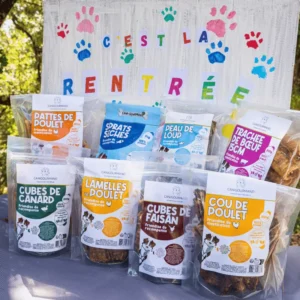 Box de la rentrée CaniGourmand : coffret de friandises naturelles pour chien