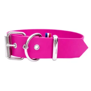 Collier en Biothane pour grand chien avec bouclerie argentée, fabriqué à la main par CaniGourmand