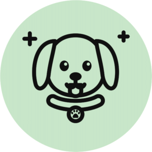 Spécial chiot