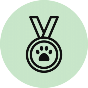 Sports canins