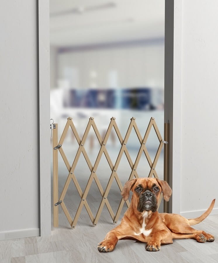 Barrière pour chien extensible Stopfix en bois, hauteur 84 cm
