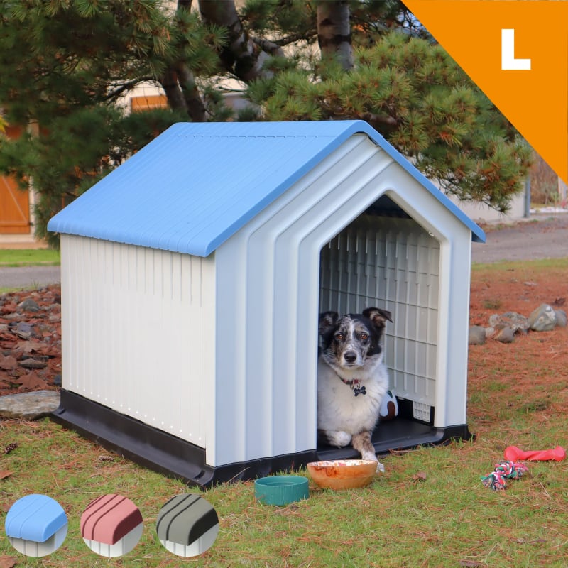 Niche en plastique Zolia Naxos pour chien, avec base surélevée et porte grillagée