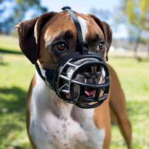 Muselière panier noire Baskerville Ultra pour chien, en plastique thermoformable avec sangles