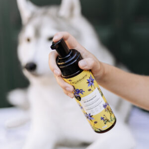 Flacon de mousse sans rinçage bio Biogance Organissime 200 ml pour chien