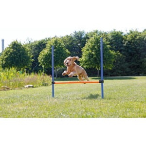 Haie d'agility pour chien en plastique, avec deux poteaux et une barre réglable en hauteur