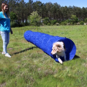 Tunnel d'agility bleu Zolia de 5 mètres et 60 cm de diamètre pour chien