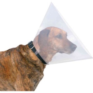 Collerette de protection Trixie pour chien, en forme de cône en plastique transparent
