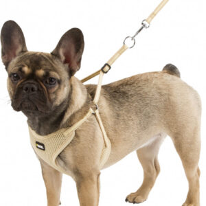 Harnais beige en maille douce Kerbl pour chiot, avec sa laisse assortie