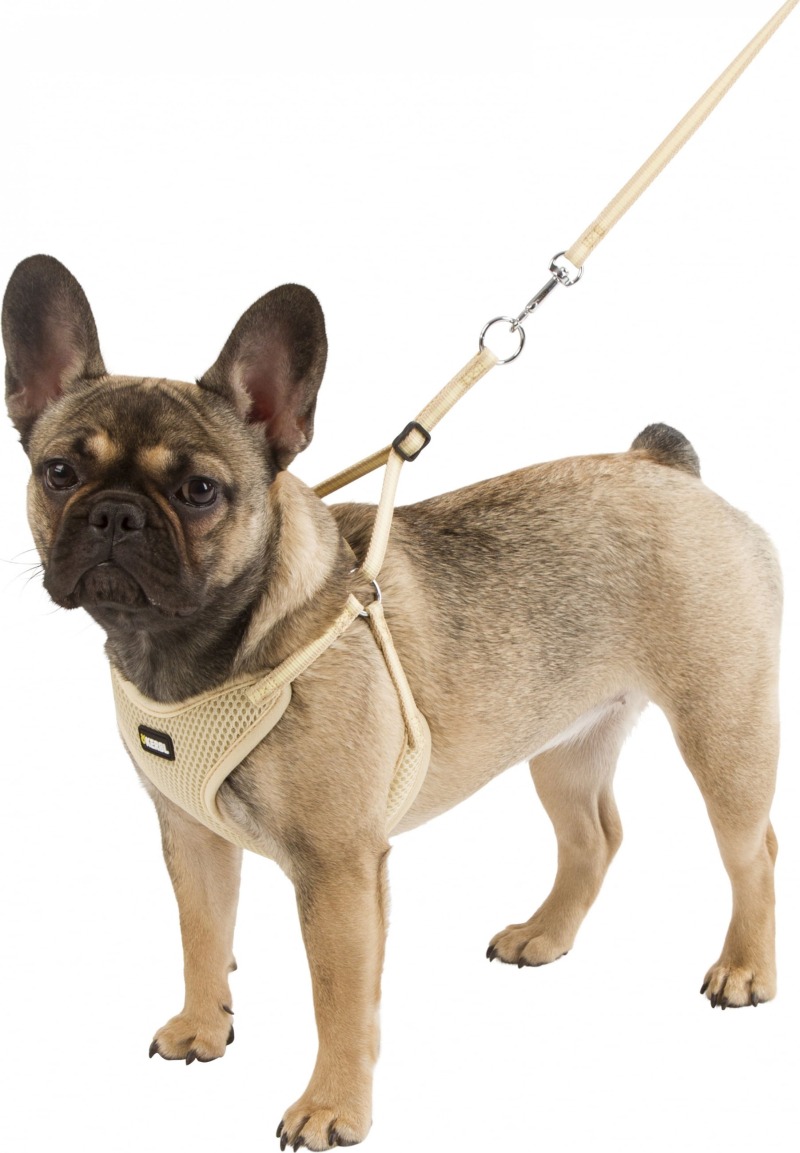 Harnais beige en maille douce Kerbl pour chiot, avec sa laisse assortie