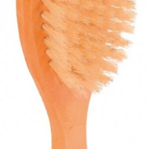 Brosse pour chien en poils naturels avec manche en bois