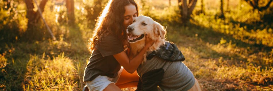 Jeune femme aux longs cheveux bruns, agenouillée dans l'herbe, qui serre contre elle un golden retriever portant un vêtement gris, dans un champ éclairé par un soleil bas et doré, avec des arbres et une clôture derrière eux