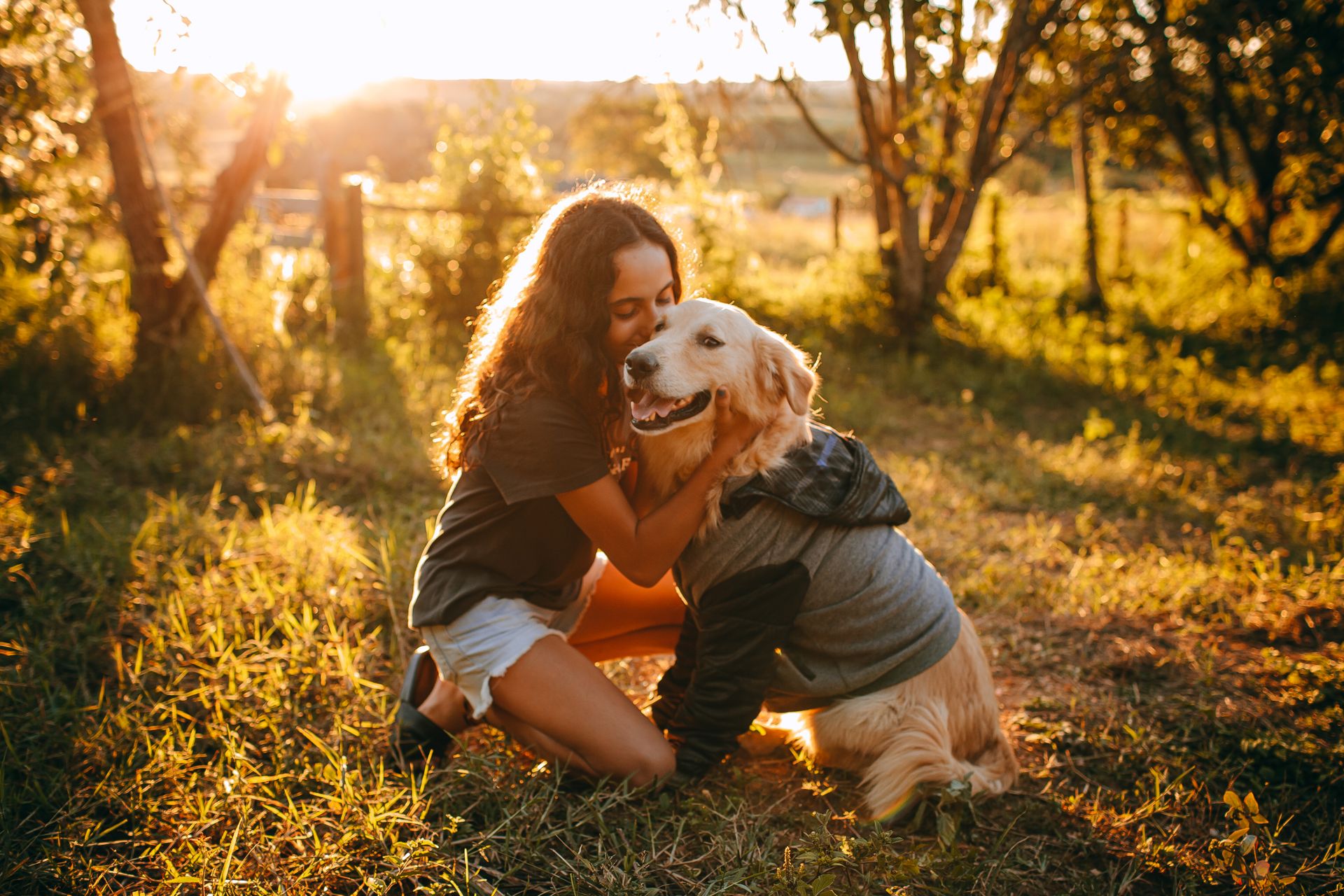Jeune femme aux longs cheveux bruns, agenouillée dans l'herbe, qui serre contre elle un golden retriever portant un vêtement gris, dans un champ éclairé par un soleil bas et doré, avec des arbres et une clôture derrière eux