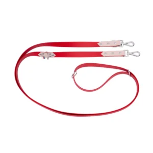 Laisse multiposition bicolore en Biothane de 3 m pour chien, avec bouclerie argentée, par CaniGourmand