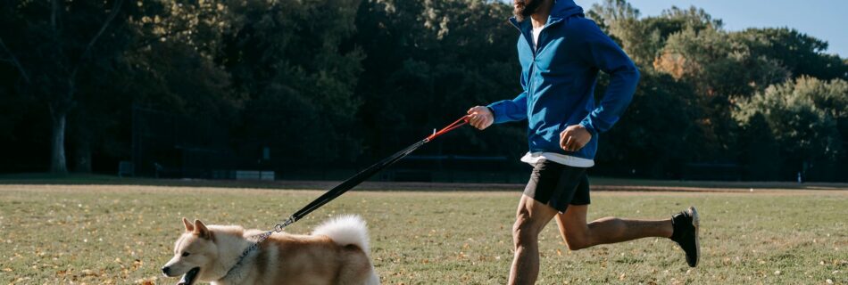 Un homme barbu en veste bleue et short noir qui court sur une pelouse ensoleillée, à côté d'un chien beige et blanc qui trotte la langue sortie, relié à lui par une longue ligne noire et rouge qu'il tient à la main ; des arbres et un ciel bleu en arrière-plan